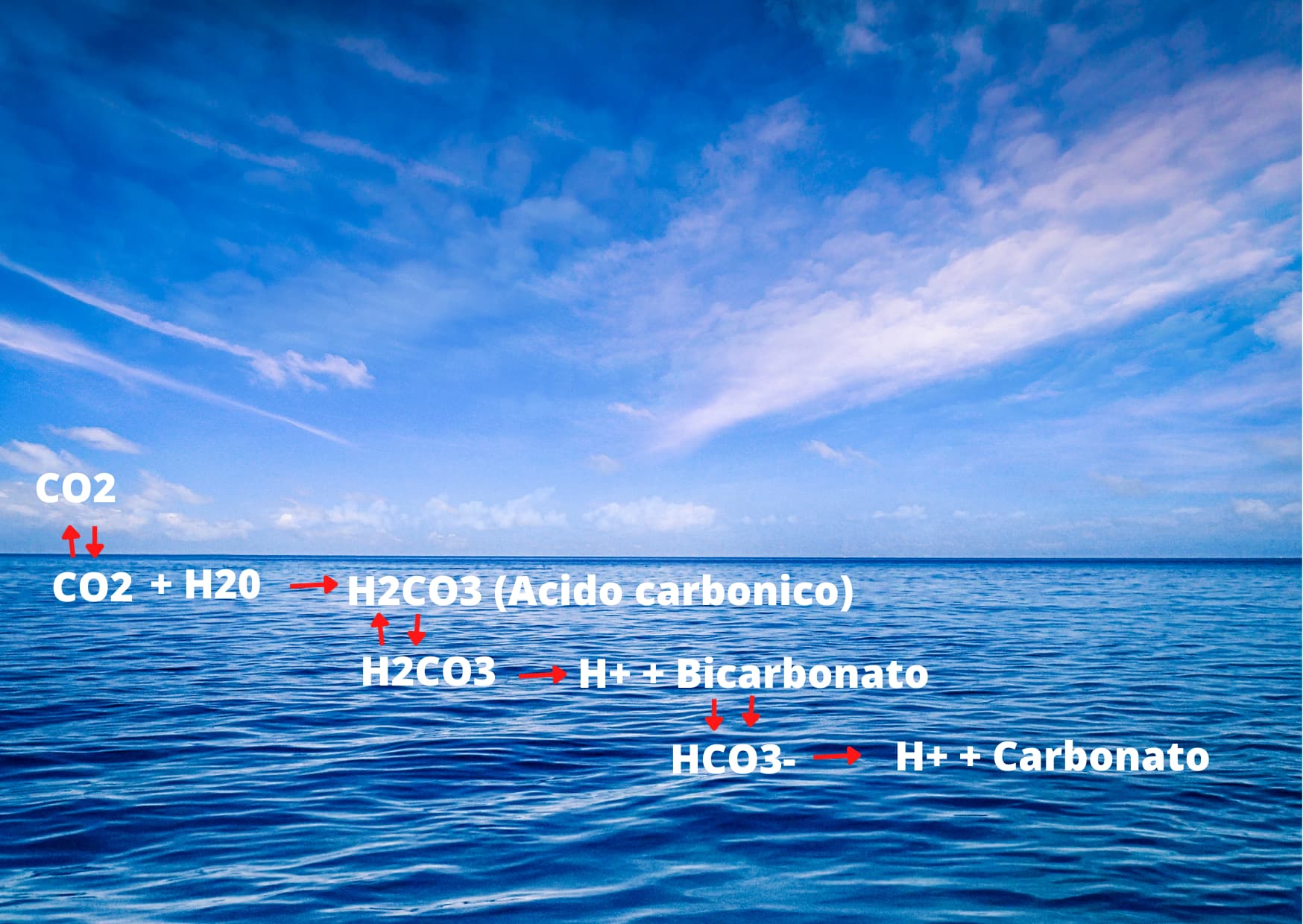 CO2 in acqua OK 