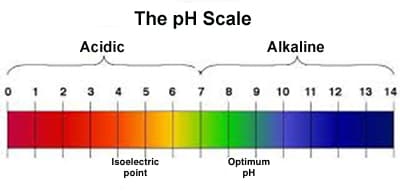 Scala pH 