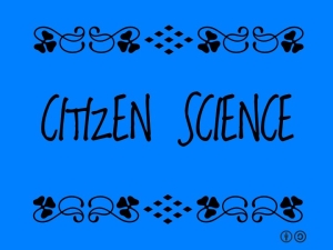 La Citizen Science: un nuovo modo per aiutare la ricerca