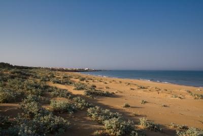 Rispetta la spiaggia: linee guida per un turismo sostenibile