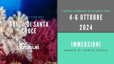 Weekend al Banco di Santa Croce 4 - 6 Ottobre 2024